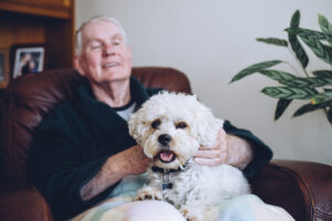 Read more about the article Shih Tzu Lifespan and Ways to Help Them Live Longer
