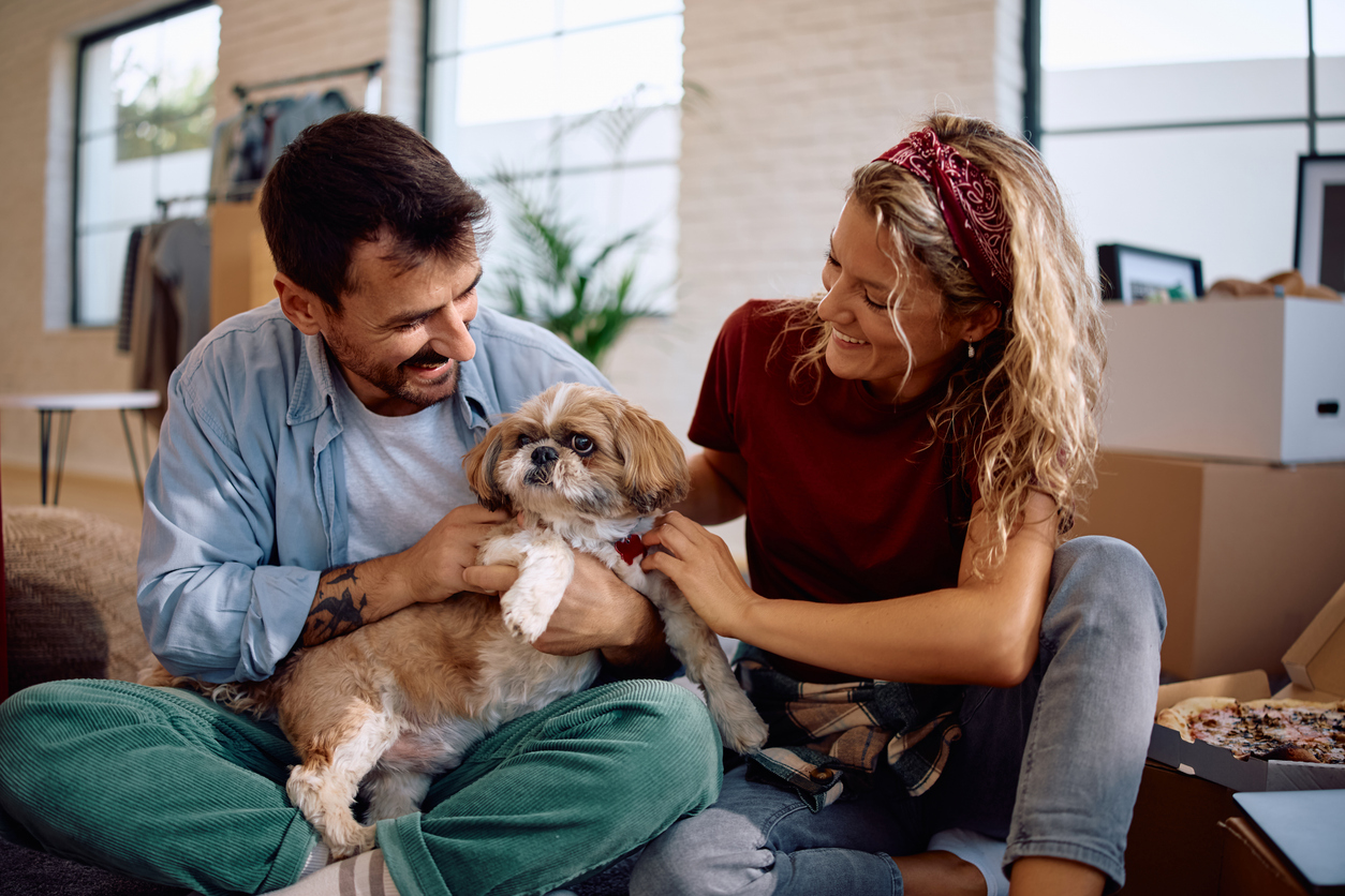 Read more about the article The Truth About Shih Tzu Dander and Your Home’s Air Quality