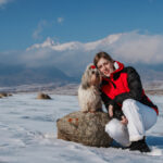 Shih Tzu Heat Cycle Guide for Dog Owners