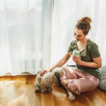 Understanding Shih Tzu Body Language Signs