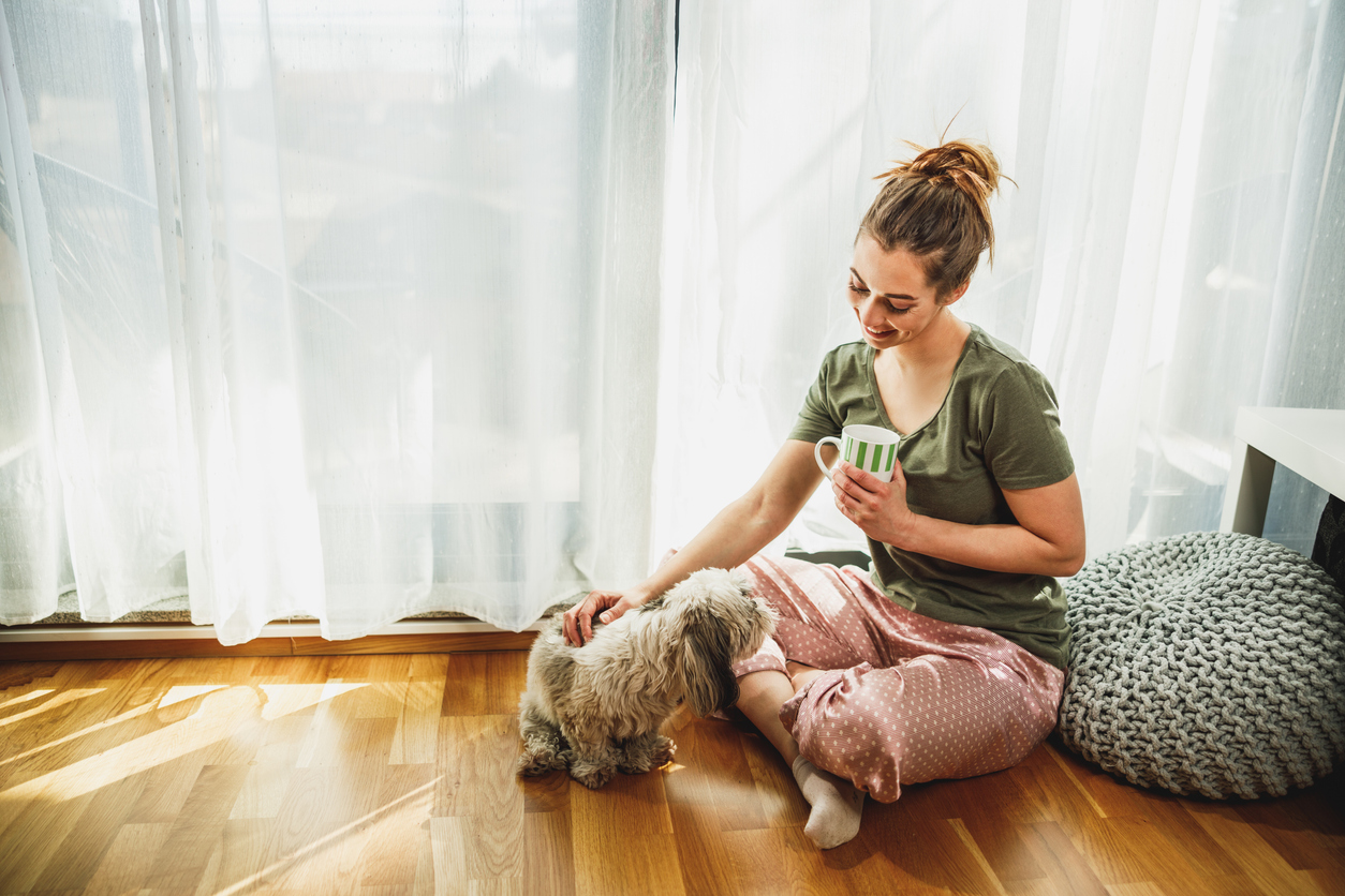 Read more about the article Understanding Shih Tzu Body Language Signs