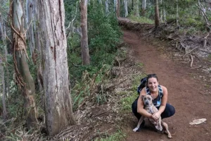 Read more about the article Dog Training Honolulu: 5 Local Favorites for Island Living