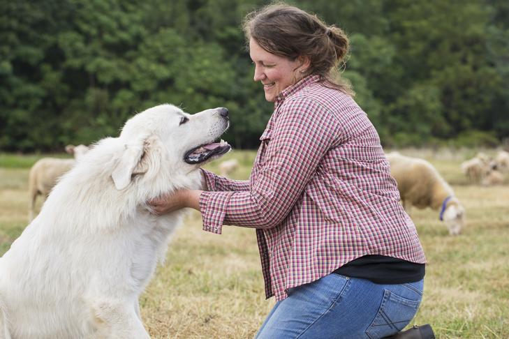 You are currently viewing Questions For Dog Trainer: What to Ask A Dog Trainer Before You Commit