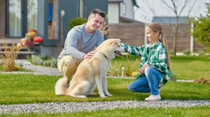 Read more about the article Dallas Shih Tzu Training: The Top 5 Centers Local Owners Trust