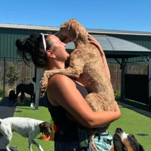 Read more about the article Top Dog Boarding Vancouver