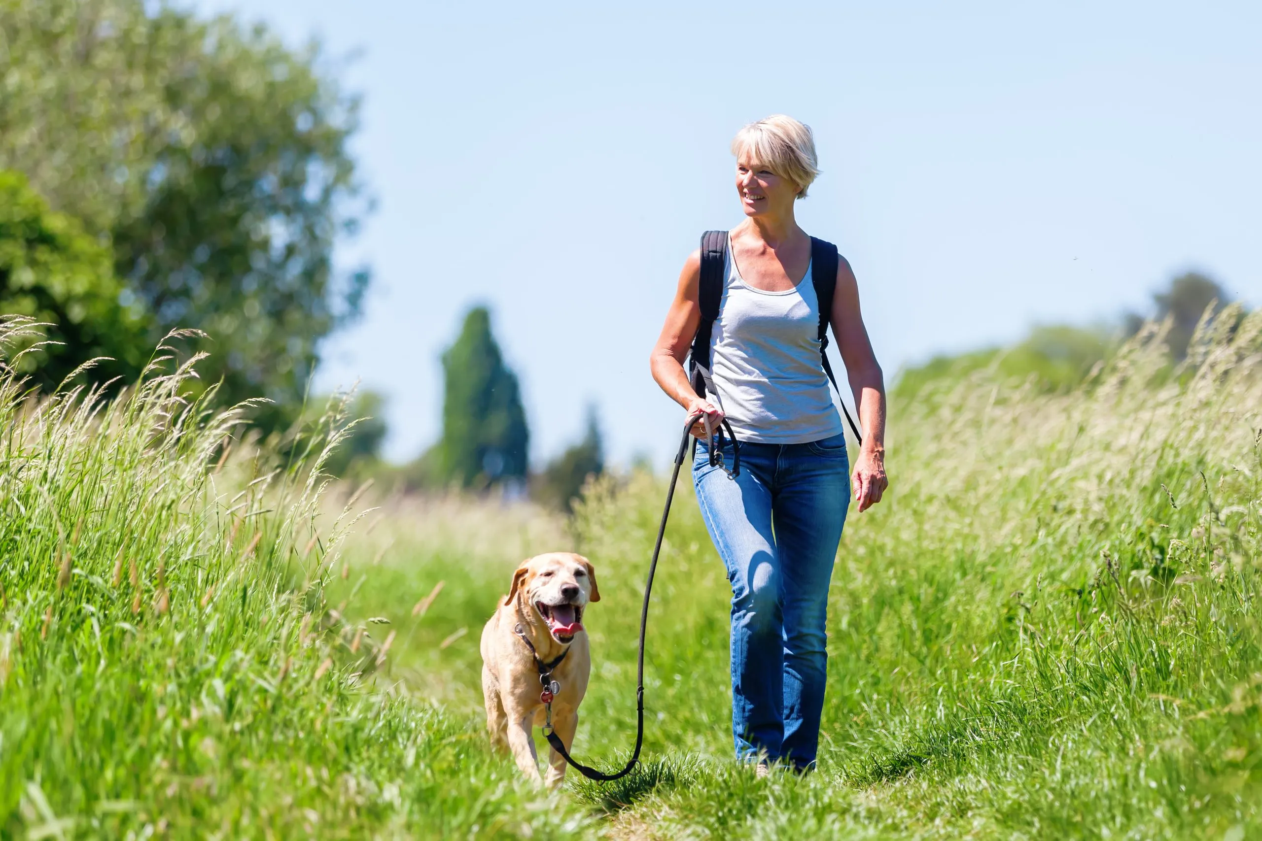 Read more about the article Shih Tzu Training in Atlanta: 5 Local Centers Owners Rely On