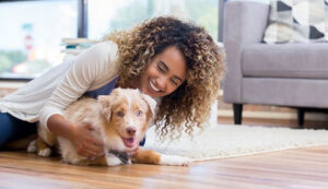 Read more about the article Shih Tzu Training Boston: 5 Local Centers Owners Rely On