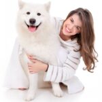 Top 5 Dog Boarding Toronto