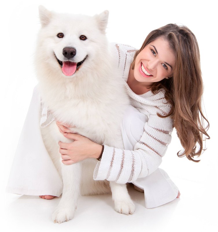 Read more about the article Top 5 Dog Boarding Toronto