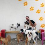 Top 5 Dog Boarding Miami
